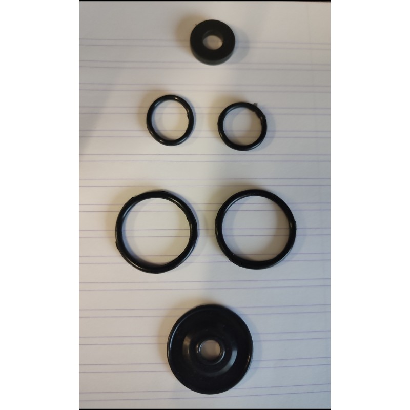 Old Plasson regulator rubber set